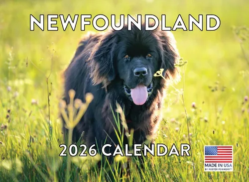 Vista 17 de Calendario de pared mensual 2025 Great Dane de 12 meses, fabricado en Estados Unidos