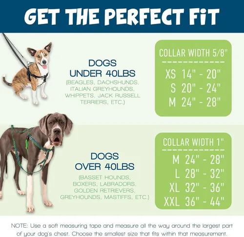 Vista 8 de 2 Hounds Design Freedom - Arnés para perro sin tirones, arnés ajustable y correa, fácil de caminar y control cómodo, se adapta a perros pequeños