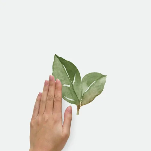 Vista 3 de RoomMates RMK4080GM Leaf Twig - Calcomanías de pared gigantes para despegar y pegar