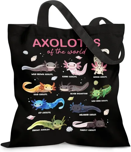 Vista 21 de Bolsa de lona estética para mujer, con cierre magnético a presión y bolsillo interior con cremallera, bolsa reutilizable