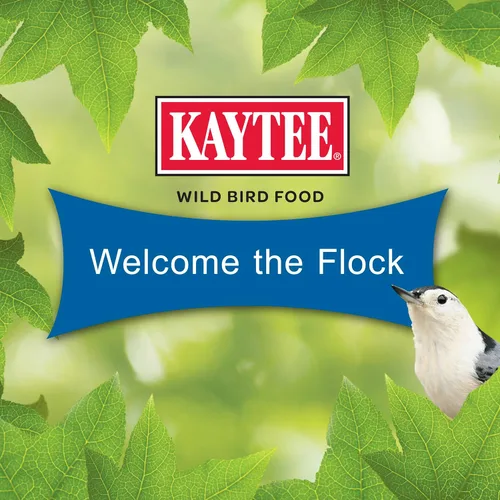 Vista 6 de Kaytee Wild Bird - Pastel de semillas gourmet para cardenales, carboneros, juncos, herrerillos, pájaros carpinteros y más, 2 libras