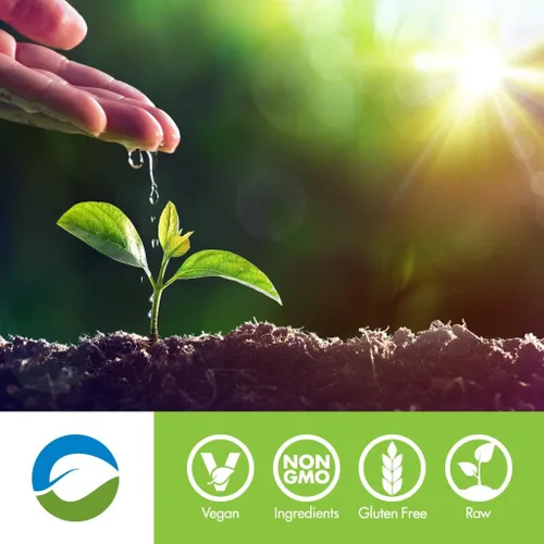 Vista 7 de San Nutrition rawfusion Plantas Proteínas en Polvo, natural Chocolate, 1 libra, SAN1041/100/101, 1, 1