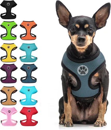 Vista 24 de BINGPET Arnés para perro sin tirones, arnés de chaleco tipo step-in de malla para todo clima para perros pequeños, arnés de malla transpirable