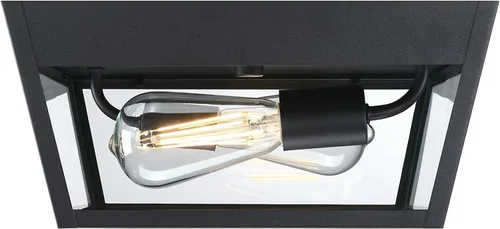 Vista 3 de Westinghouse 6121900 Peterson - Lámpara de techo transitoria con dos luces, acabado negro texturizado, cristal transparente