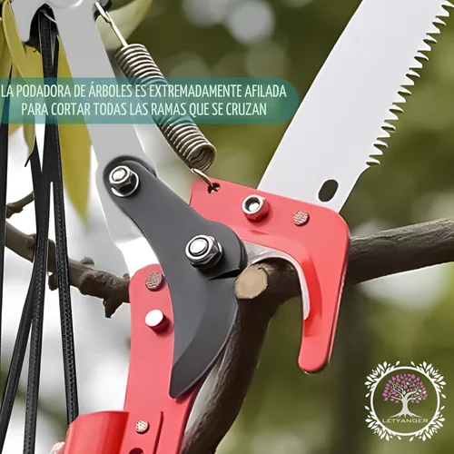 Vista 7 de Sierras de poste para podar árboles, podadoras extensibles de 7.3 a 27 pies, podadora de mango largo, hoja de acero afilada y tijeras para recortar