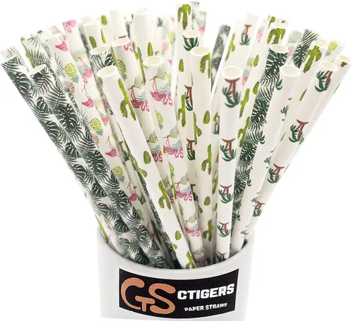 Vista 11 de Pajitas de papel biodegradables con estampado de bambú para caja de fiesta de 100