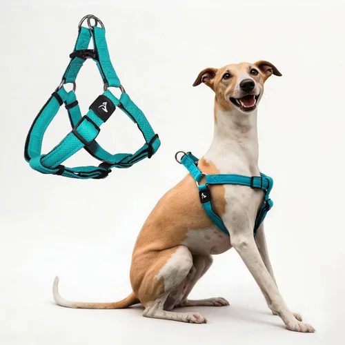 Vista 11 de Kruz - Arnés para perro sin tirones (pecho 21-30 pulgadas, peso de 22-53 libras), arnés resistente para razas medianas, ajuste ultra cómodo, Verde