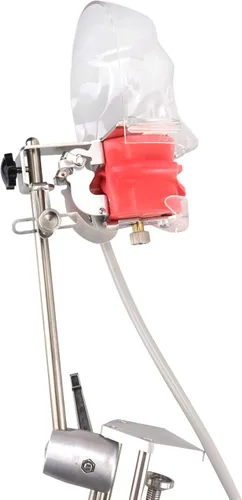 Vista 2 de Modelo de cabeza de enseñanza dental y dientes de repuesto, clip de cabeza de maniquí en el escritorio para enseñar