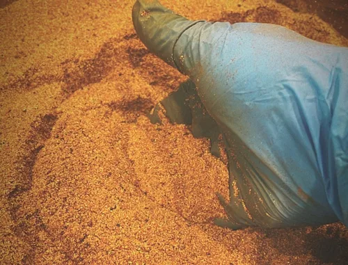 Vista 3 de Condimento multiusos