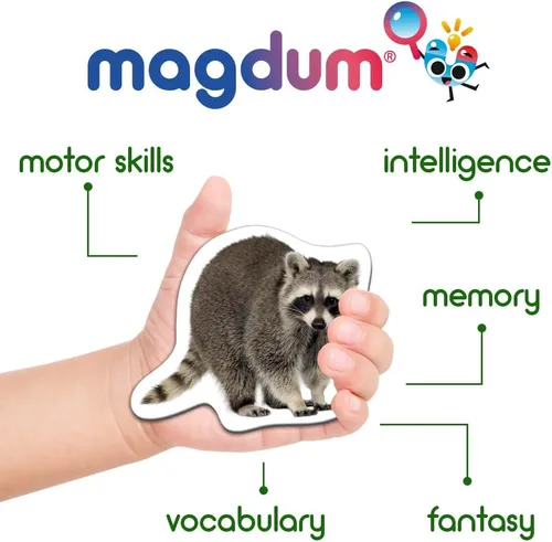 Vista 4 de Forest Photo - Imanes para niños pequeños, 20 animales magnéticos para nevera