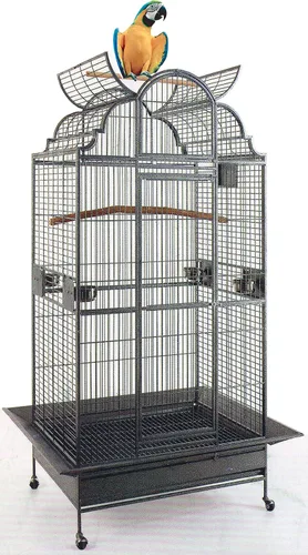 Nueva jaula grande y elegante de hierro forjado para loros para pájaros, incluye protector de semillas de metal, puertas nido de metal sólido (24