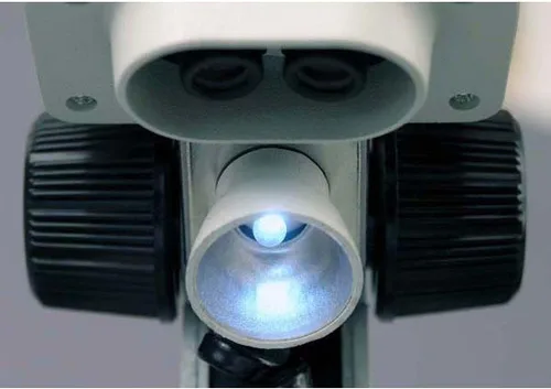 Vista 3 de AmScope Microscopio estéreo binocular portátil SE100 para niños, oculares WF10x, aumento 20X, fuente de luz de tungsteno, placa de escenario