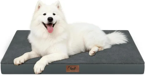 Vista 97 de Cama para perros y gatos pequeños, impermeable, para jaula de huevos, espuma ortopédica con funda Oxford lavable y extraíble, color verde Amy