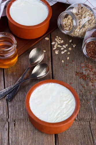Vista 6 de Paquete de sobres liofilizados de cultivo para yogur Acidophilus