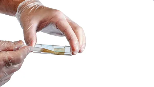 Vista 4 de McMaster Method Microscope Slide - FEC (recuento de huevos fecales) o recuento de gusanos, diapositiva de doble cámara para pruebas y manejo