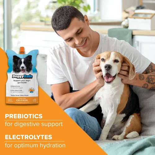 Vista 3 de DoggyRade - Bebida deportiva para perros (bebida prebiótica, isotónica para perros) Electrolitos, nutrientes y aminoácidos Bebida de hidratación