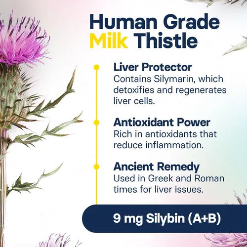 Vista 4 de Suplemento de salud hepática para perros pequeños, cardo mariano para perros, soporte hepático con S-adenosilmetionina (same) y silybina, 30 tabletas
