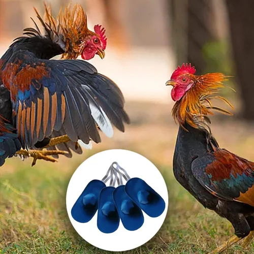 Vista 5 de Arlinal Zapatos de pollo Gamefowl Gallo, suministros de gallo, botas de pollo Gamefowl Suministros de lucha Etiquetas de pollo para protección