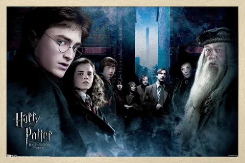 Vista 7 de Trends International Harry Potter and the Half-Blood Prince - Fraternity Wall Poster, 14.725" x 22.375", Barnwood Framed Version