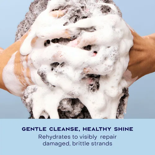 Vista 7 de Shea Moisture Champú Hidratar y Reparar Cabello Dañado con Miel de Manuka y Manteca de Karité 13 oz