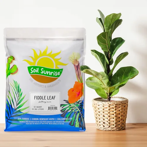 Vista 2 de Suelo de higuera de hoja de violín prémium (12 cuartos de galón), fórmula experta para un crecimiento vibrante, mezcla para macetas rica