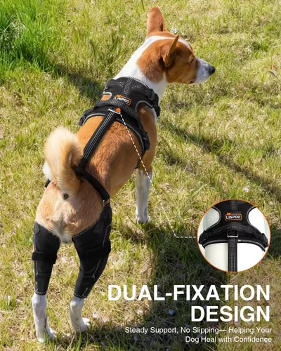 Vista 6 de Rodillera para Perro para ACL/CCL Desgarrado Pata Trasera, Soporte Ajustable con Suficiente Envoltura y Soporte y Luxación de Rótula, Soporte