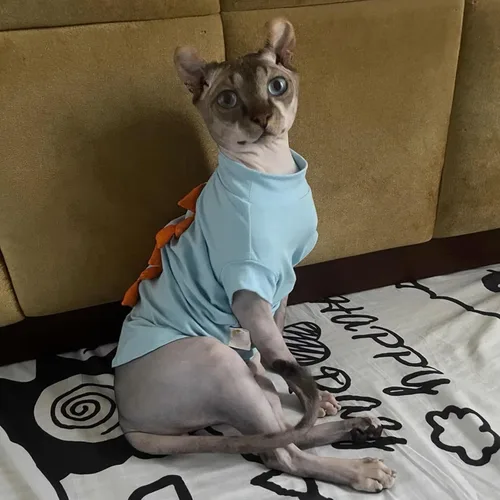 Vista 5 de Dinosaur Sphynx - Ropa para gatos sin pelo, lindas camisas de algodón de verano, disfraz de gato, ropa para mascotas, camisetas de gatito, ropa
