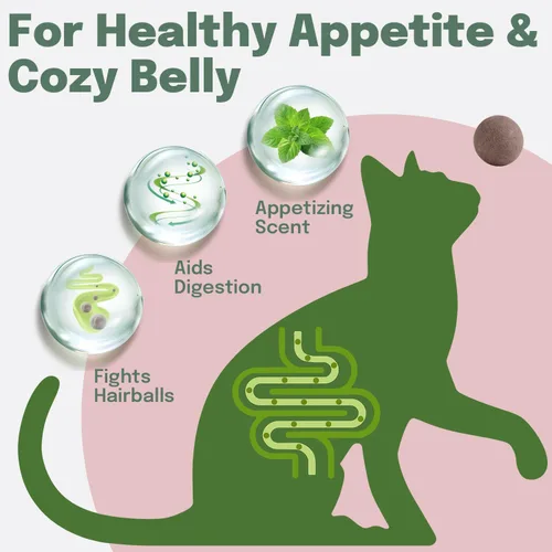 Vista 3 de Pelotas de nip para gatos, 4 bolas de hierba gatera y 2 bolas de frutas de agalla, juguetes de bolas de hierba gatera para gatos