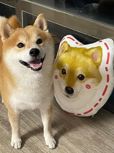 Vista 8 de Almohadas personalizadas para retratos de mascotas con fotos, almohada de perro 3D dibujada a mano, almohada personalizada de cara de gato