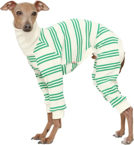 Vista 22 de D Doggy Star - Ropa de galgos italianos, enterizo elástico de neón para primavera y verano (talla S, naranja Onsi)