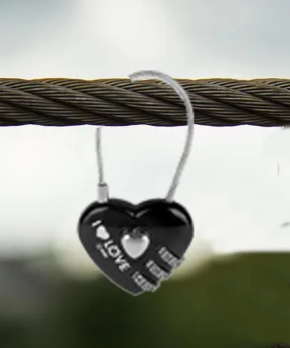 Vista 6 de WANLIAN 2 cerraduras de combinación, candado de combinación de 3 dígitos con cuerda de alambre de acero de 4.13 pulgadas (4.1 in) para exteriores