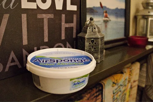 Vista 5 de Delta Nature's Air - Esponja absorbente de olores sin perfume, tina de plástico de 1/2 libras.