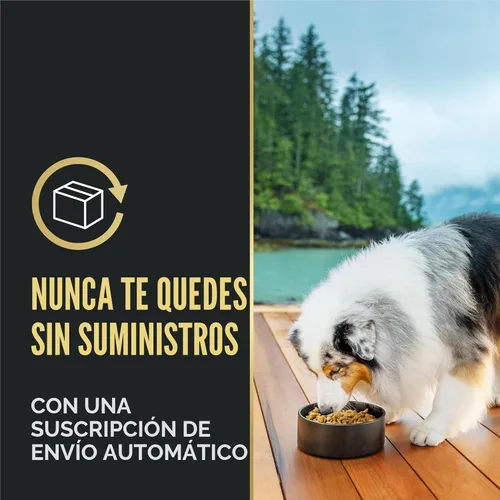 Vista 11 de Purina Pro Plan Complete Essentials - Alimento seco para perros con mezcla triturada de pollo y arroz, fórmula seca con probióticos para perros, 5