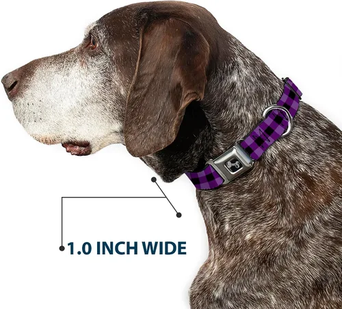 Vista 6 de Buckle-Down Collar de perro con hebilla de cinturón de seguridad, diseño a cuadros de búfalo, color negro/morado, 1 pulgada de ancho, se adapta a