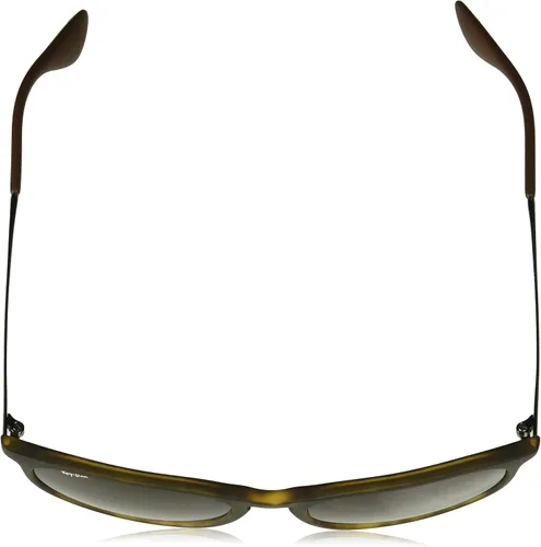 Vista 4 de Ray-Ban RB4171 Erika - Gafas de sol redondas para mujer