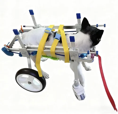 Dog Wheelchair for Back Legs – Adjustable Pet Mobility Cart with Lightweight Aluminum Frame, EVA Wheels & Comfort Harness – Support for Small,