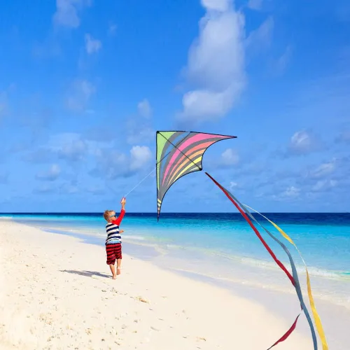 Vista 5 de Mint's Colorful Life Easy to Fly Delta Kite and Kite - Bobinador de carrete con cuerda de 600 pies