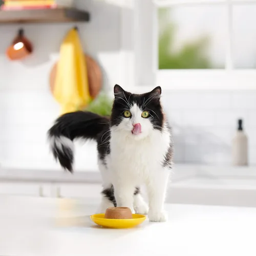 Vista 24 de Meow Mix Paté in Gravy Wet Cat Food with Real Chicken & Beef, 2.75 Ounce (Pack of 12)