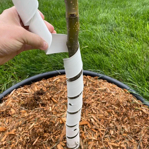 Vista 3 de Master Mark TreeMaster - Protector de árbol en espiral, protector de árbol de plástico, envoltura de árbol, protección de corteza de árbol, tubos