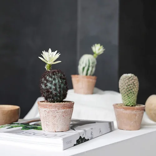 Vista 3 de Plantas artificiales en maceta, suculentas artificiales, mini cactus falso, para decoración del hogar y la oficina, maceta artificial