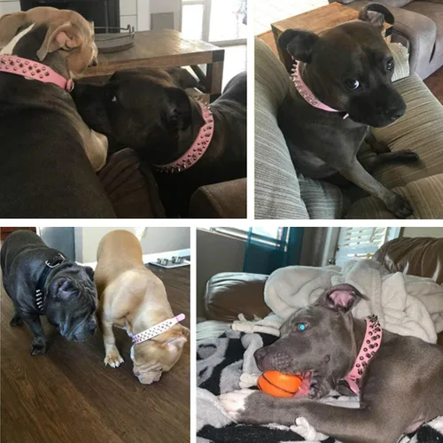 Vista 3 de Teemerryca - Collares para perro, ajustables, de piel de microfibra con púas punzantes y una pelota chillona de regalo, para mascotas pequeñas