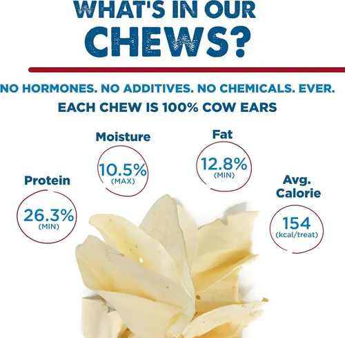 Vista 4 de Best Bully Sticks Orejas de vaca de corte grueso para perros, 12 unidades (paquete de 1), naturales, alimentadas con pasto, de corral libre, un solo