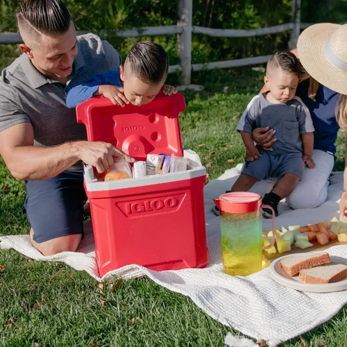 Vista 11 de Igloo Enfriador duro Serie Perfil, Quantum & Legends Cofres de hielo aislados