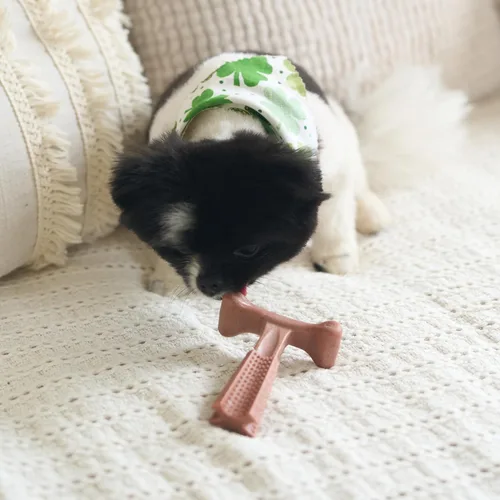 Vista 13 de SPOT Bam-Bones Plus T Bone - Juguete masticable de fibra de bambú y nailon para perros masticadores moderados a agresivos, duradero y sin astillas