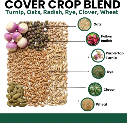 Vista 3 de Semillas de parcela de comida de venado de cola blanca Mezcla de avena de centeno de trigo con trébol de rábano de nabo Mezcla de búfalo