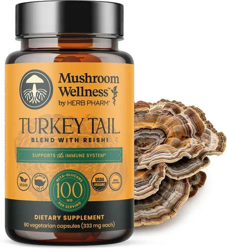Mushroom Wellness - Mezcla de cola de pavo con Reishi: Cola de pavo orgánica y cápsulas de hongos Reishi, suplemento en polvo de hongos, inmune