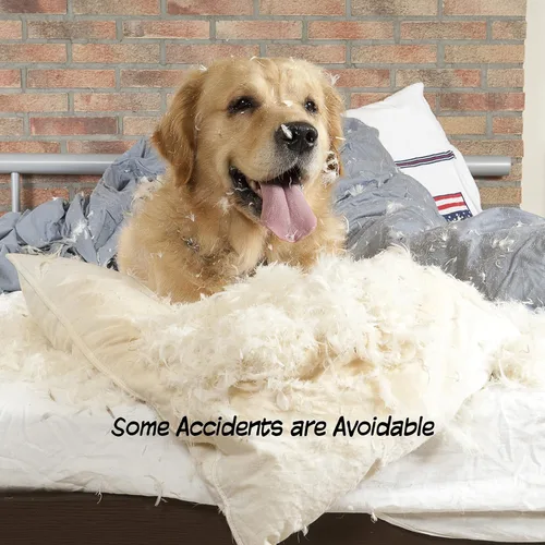 Vista 5 de PETMAKER Puerta interior para mascotas, puerta plegable para perros de 4 paneles para escaleras o puertas, valla independiente de 73.5 x 32 pulgadas