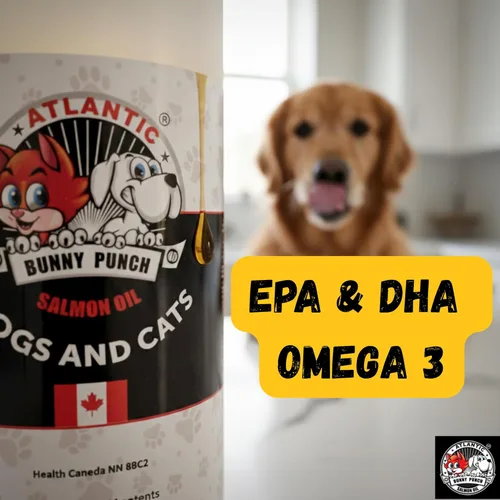 Vista 9 de Bunny Punch - Aceite de salmón puro del Atlántico para perros y gatos, decoración líquida para alimentos, 32 onzas