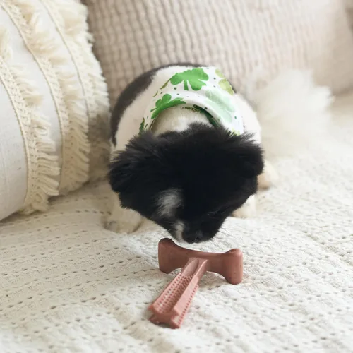 Vista 12 de SPOT Bam-Bones Plus T Bone - Juguete masticable de fibra de bambú y nailon para perros masticadores moderados a agresivos, duradero y sin astillas