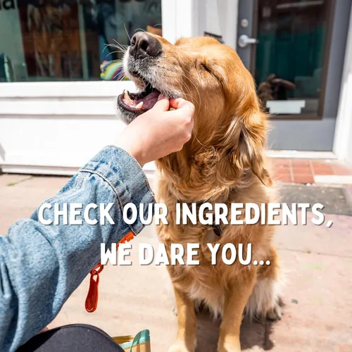 Vista 8 de Winnie Lou Bison Burger Jerky - Golosinas para perros, ingredientes limitados, grado humano, golosinas de entrenamiento para perros pequeños